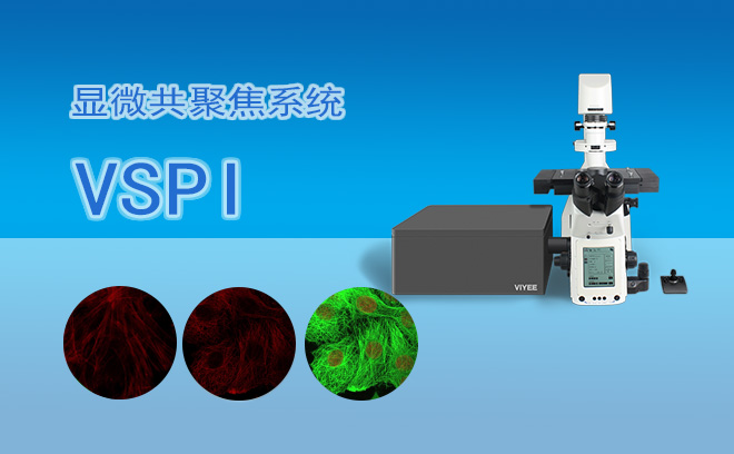 激光共聚焦顯微鏡VSPI